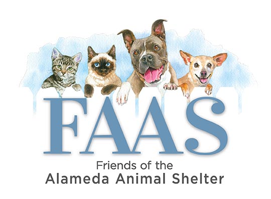Art Supporters raise money for Friends of Alameda Animal Shelter